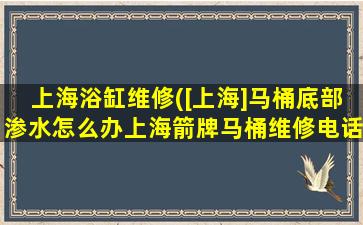 上海浴缸维修([上海]马桶底部渗水怎么办上海箭牌马桶维修电话)